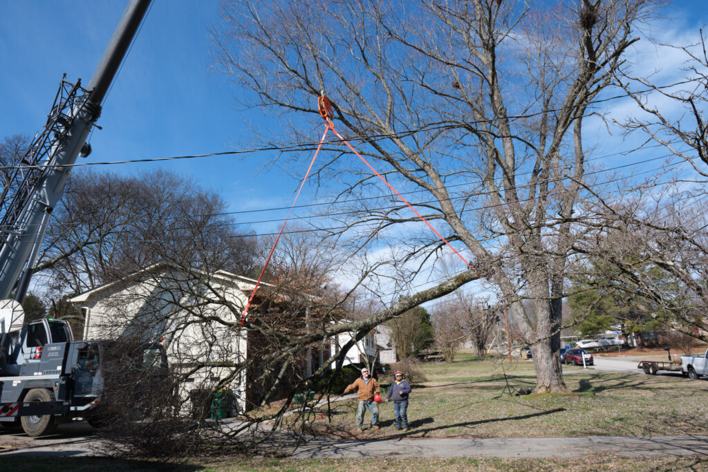 Expertree Service Knoxville