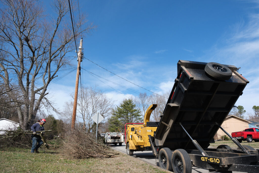 Expertree Service Knoxville