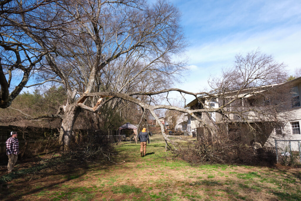 Expertree Service Knoxville