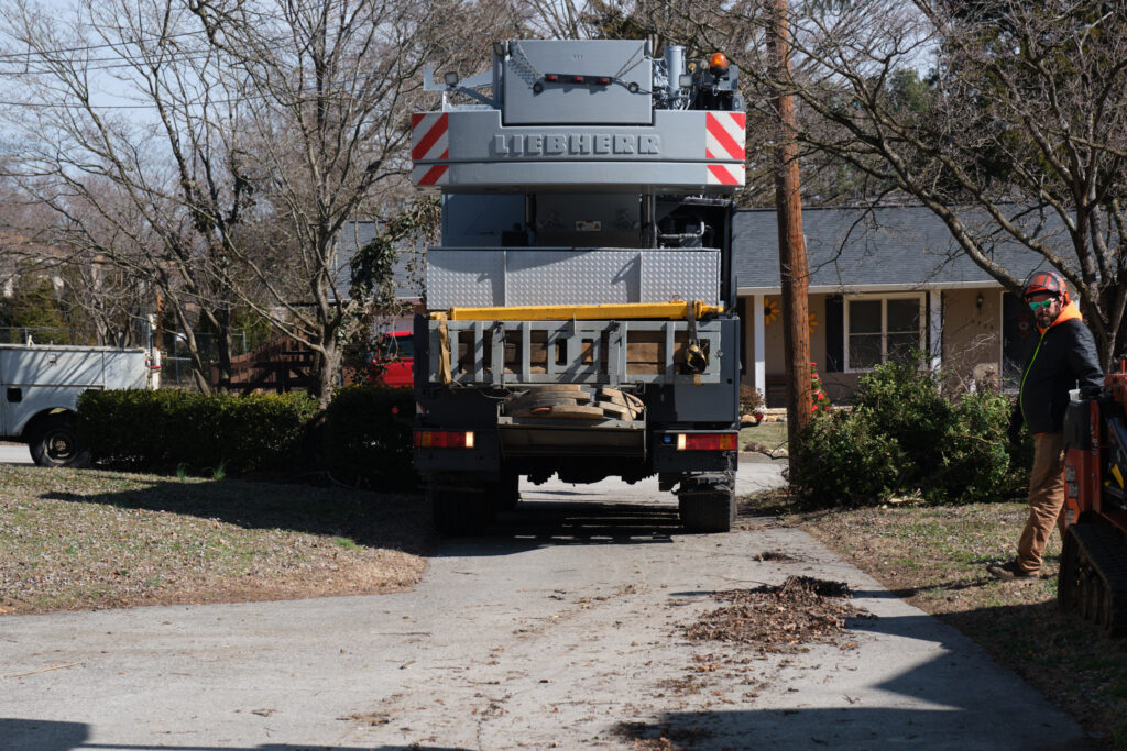 Expertree Service Knoxville