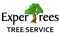 ExperTrees | Tree Service Knoxville