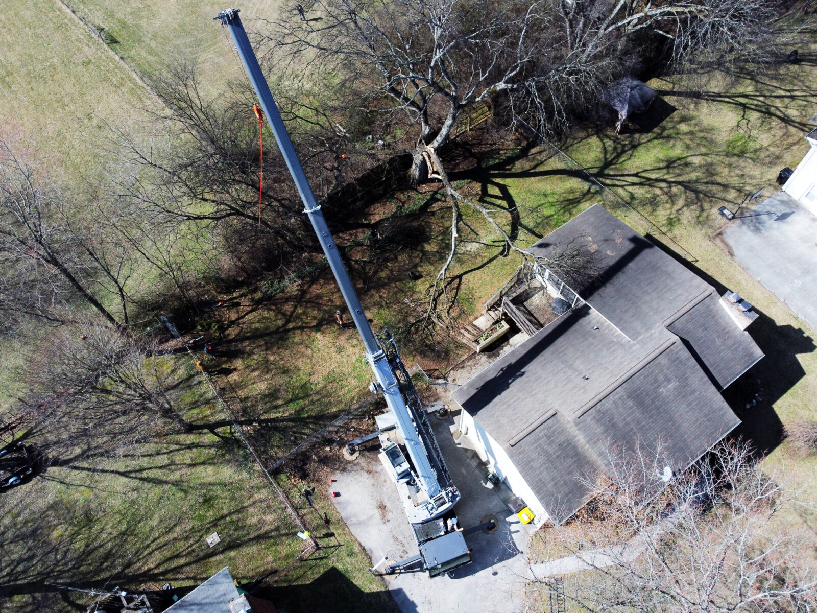 Expertree Service Knoxville